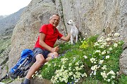 Il MONTE GLENO (2882 m) risalito dalla sua valle il 6 agosto 2015  - FOTOGALLERY